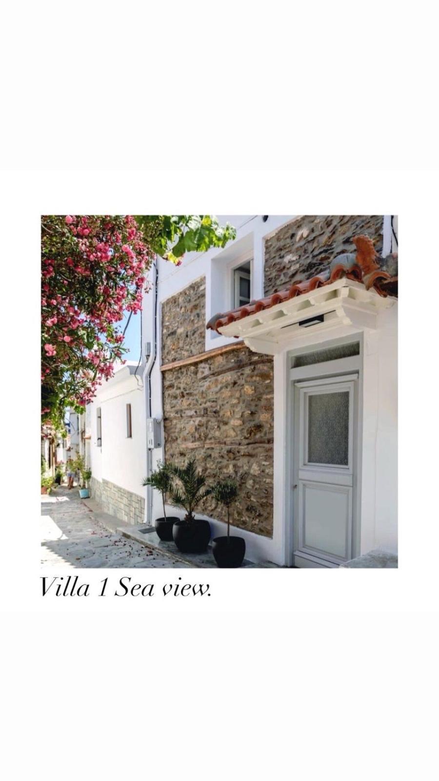 Evageliasvilla Sea View 스코펠로스 타운 외부 사진